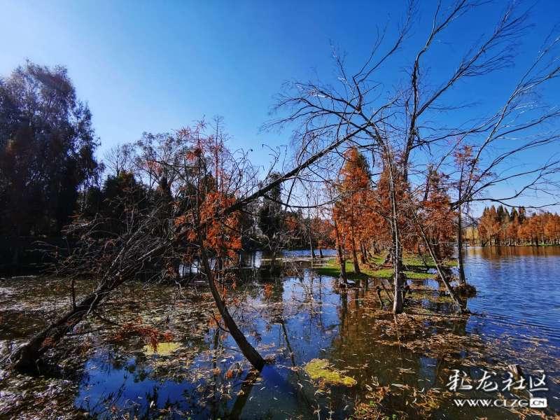怎样在海底捞用餐最划算?-专注知识共享,聚集智慧力量