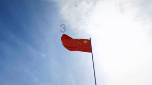 破碎的动物图形3